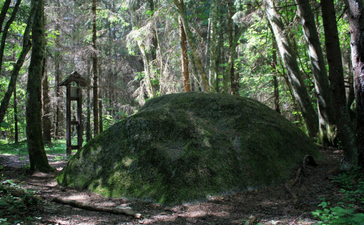 5_Tyrelio akmuo (1).jpg